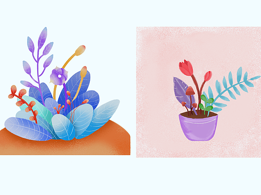 植物插画
