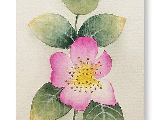 小花花兒（個人主頁-ZMzk5NzI5MDg=） - 創(chuàng)作習(xí)作 - 站酷設(shè)計(jì)師畫畫的董董原創(chuàng)素材 - 站酷ZCOOL