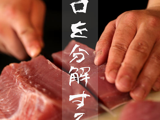 记录黄鳍金枪鱼分解