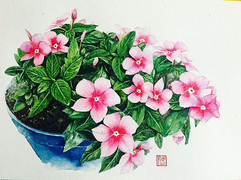 水彩 花卉 手绘 大家多多指点 蓝色花盆 