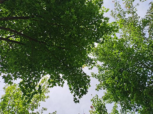 随手一拍 点线面