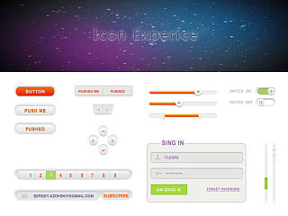 icon experice
