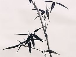 画画