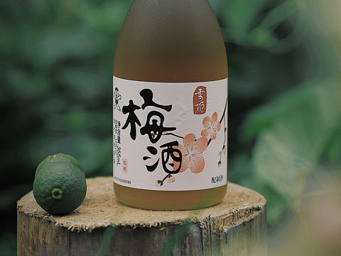 梅子酒日本酒 酒