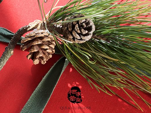 栖家燕窝 · 2015圣诞特别企划【你家的圣诞树是我最爱的栖息地】