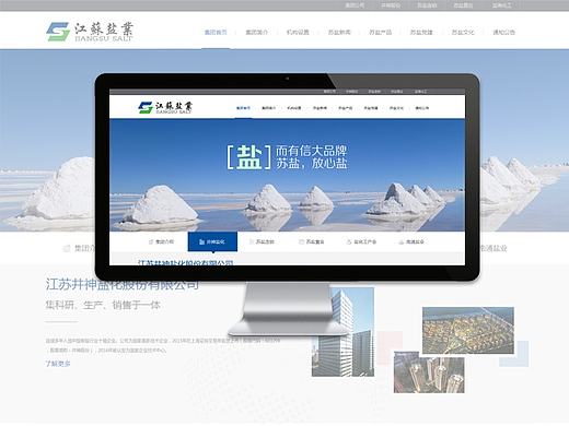 盐务局门户网站