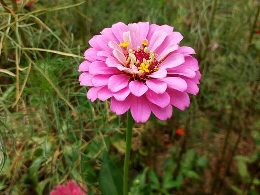 最美的风景在路上