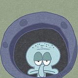有色乌贼的头像