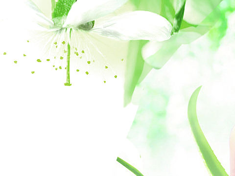 简单（个人主页-ZMTQyNDkzMjg=） - 其他 - 站酷设计师时光岁月流年原创素材 - 站酷ZCOOL