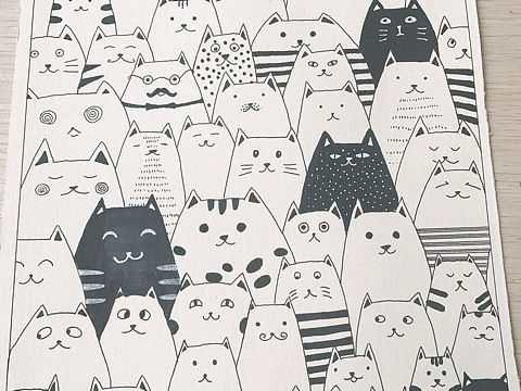 猫咪
