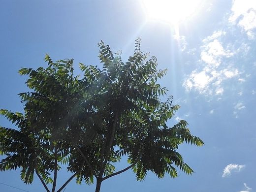 手機(jī)照片做的底圖（個(gè)人主頁-ZMTIyOTUyOTY=） - 品牌 - 站酷設(shè)計(jì)師SHINE1115原創(chuàng)素材 - 站酷ZCOOL