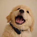 JOOOOVE的头像