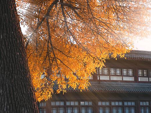 像一束光（个人主页-ZMzEyMjUwOTY=） - 产品摄影 - 站酷设计师dalehall原创素材 - 站酷ZCOOL