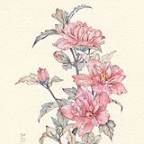 UUUJL的头像