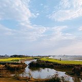 夏花的夏的头像