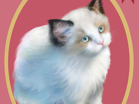 动物插画🌸可爱猫咪