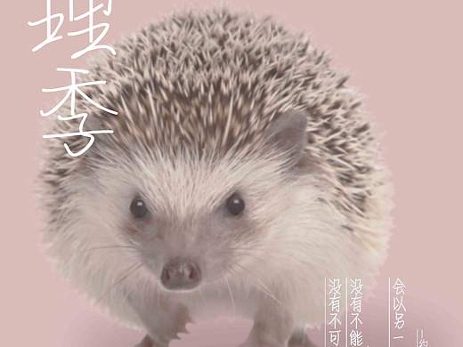 心理季