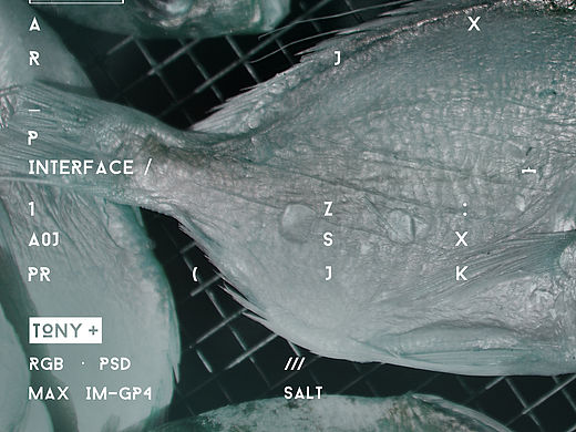 点解都要望实我？（个人主页-ZMTUwNTExMTY=） - 海报 - 站酷设计师DonyTony原创素材 - 站酷ZCOOL