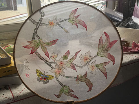 最近的摄影、花、小品