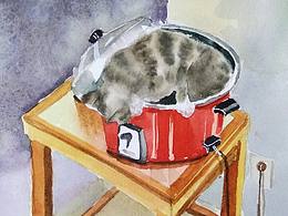 猫系列