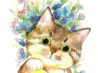 和小伙伴一起搞的明信片