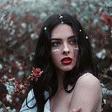 Dolore的头像