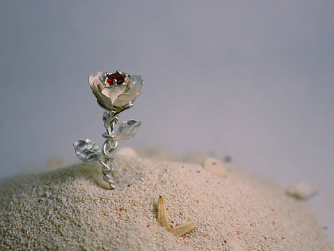 小王子玫瑰胸针（个人主页-ZNDY1OTEwNzI=） - 首饰设计 - 站酷设计师无野丶原创素材 - 站酷ZCOOL