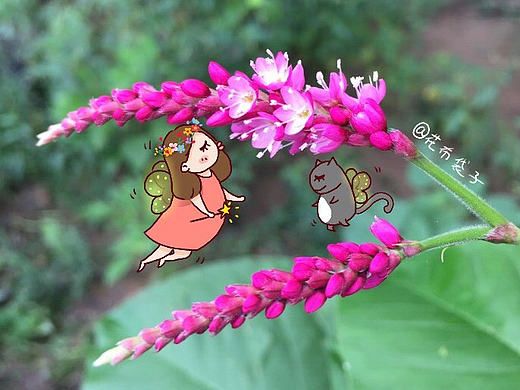 #走走-看看-畫畫#【005】夏日已去（個(gè)人主頁(yè)-ZMTg3NDY0MDg=） - 藝術(shù)插畫 - 站酷設(shè)計(jì)師花布袋子呀原創(chuàng)素材 - 站酷ZCOOL