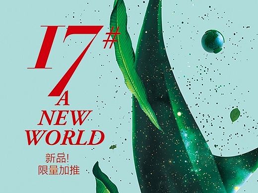七索地产篇 柏庄观邸 13+17