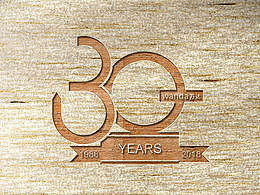 万达30周年庆logo