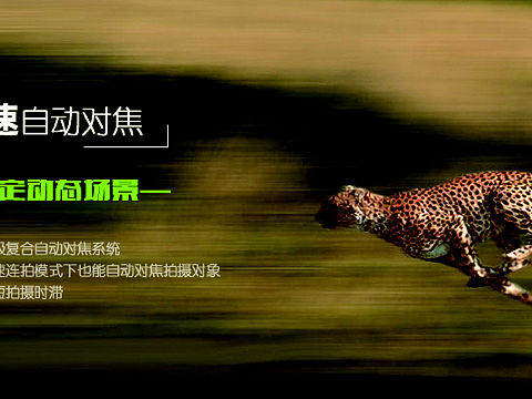 相机banner