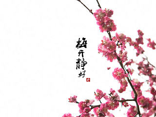 南京梅花山一游