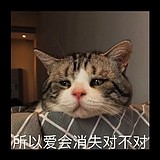 宫九九的头像