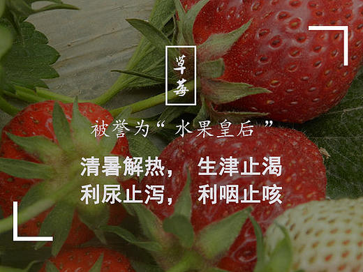 草莓