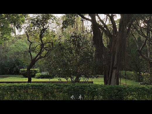 静 ·01（个人主页-ZNTIyNTMzNjA=） - 风光摄影 - 站酷设计师水木水木水木原创素材 - 站酷ZCOOL