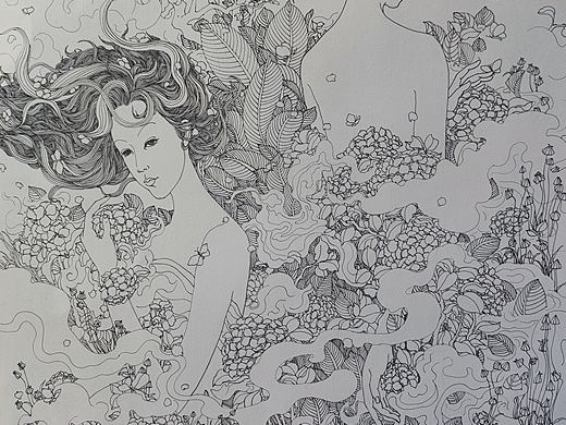 沐夏