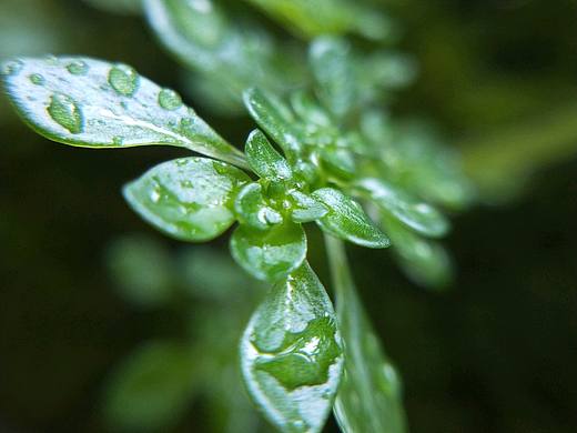 手機(jī)攝影（個(gè)人主頁(yè)-ZMzcwMzYzNDQ=） - 風(fēng)光攝影 - 站酷設(shè)計(jì)師西涼涼原創(chuàng)素材 - 站酷ZCOOL