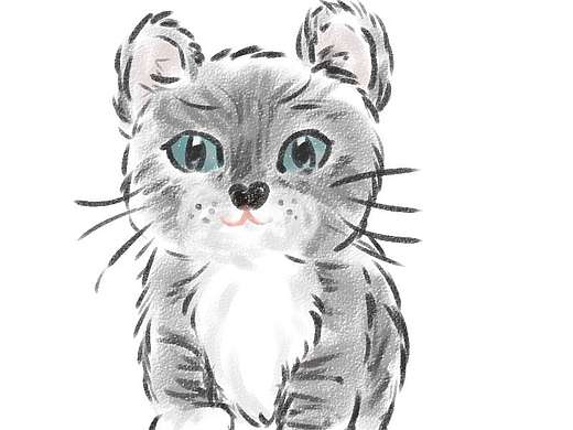 猫咪