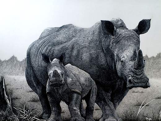  戊戌年盛夏鋼筆畫之《生生不<犀>》