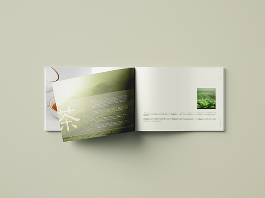 茶之浮沉｜茶叶画册