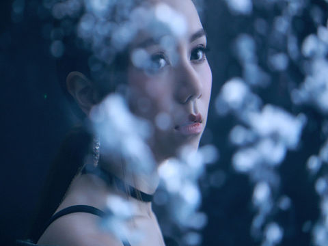 邓紫棋×终结者