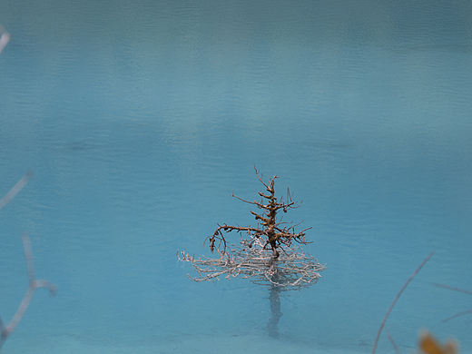 藍(lán)月谷（個(gè)人主頁(yè)-ZNDU1NTU0NTY=） - 風(fēng)光攝影 - 站酷設(shè)計(jì)師況且況且況且且原創(chuàng)素材 - 站酷ZCOOL