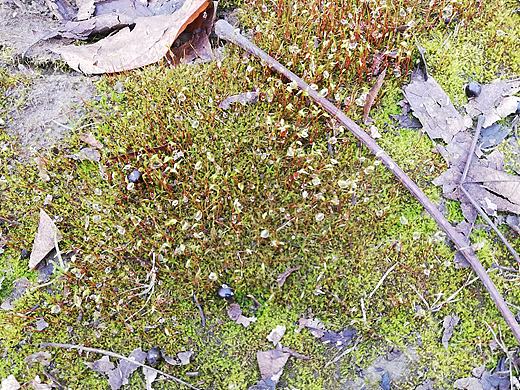 千万次来过这里