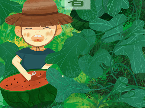 二十四节气/小暑插画