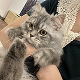刘O圆的头像