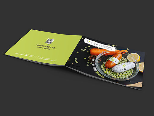 公司产品手册Ⅱ