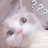 桃吃吃的头像