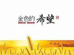 政府画册
