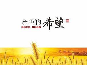 金色的希望 乡镇 画册