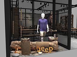 展示